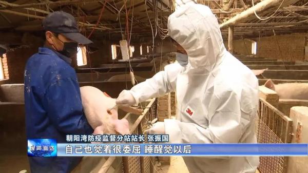 兽医-张振国2.jpg
